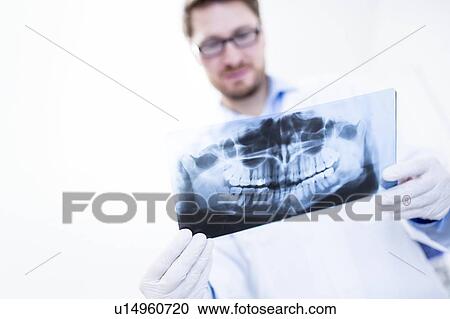 Dentist and assistant holding x-ray View Large Photo Image Stock Image - Dentist and assistant holding x-ray. Fotosearch