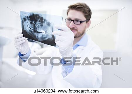 Dentist holding x-ray View Large Photo Image Picture - Dentist holding x-ray. Fotosearch