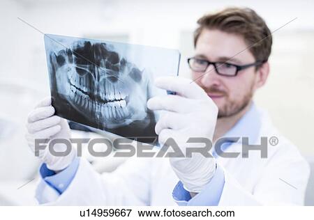 Dentist holding x-ray View Large Photo Image Stock Photo - Dentist holding x-ray. Fotosearch