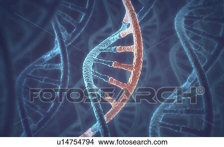 Picture - Dna and rna molecules. Fotosearch