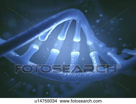 Picture - Dna and rna molecules. Fotosearch
