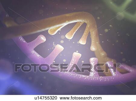 Dna and rna molecules View Large Photo Image Stock Image - Dna and rna molecules. Fotosearch