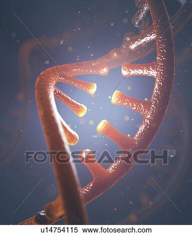 Dna and rna molecules View Large Photo Image Stock Photography - Dna and rna molecules. Fotosearch
