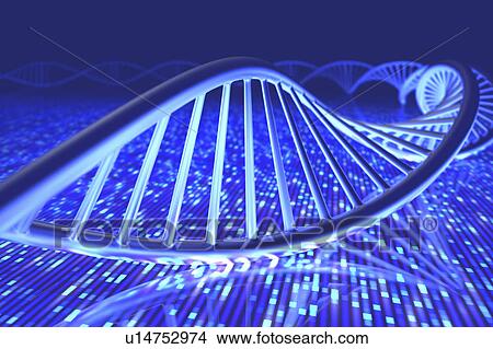 Dna and senger sequence View Large Photo Image Picture - Dna and senger sequence. Fotosearch
