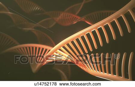 Stock Photo - Dna and senger sequence. Fotosearch