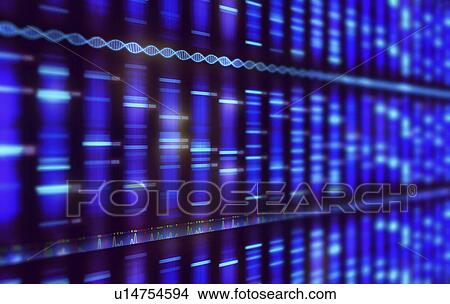 Picture - Dna sequencing. Fotosearch