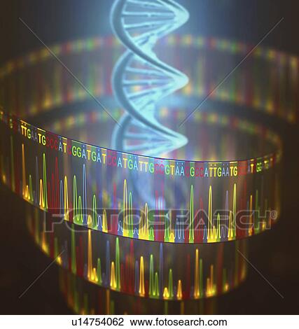 Stock Image - Dna sequencing. Fotosearch