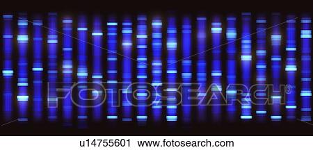 Stock Image - Dna sequencing. Fotosearch