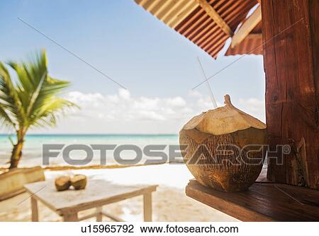 Dominican Republic, Tropical cocktail on tropical beach View Large Photo Image Stock Image - Dominican Republic, Tropical cocktail on tropical beach. Fotosearch
