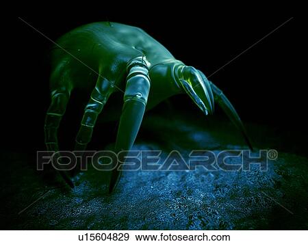 Stock Photo - Dust mite. Fotosearch
