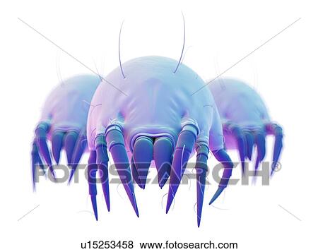 Dust mites View Large Photo Image Stock Photo - Dust mites. Fotosearch