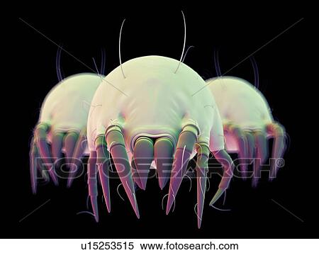 Stock Photography - Dust mites. Fotosearch
