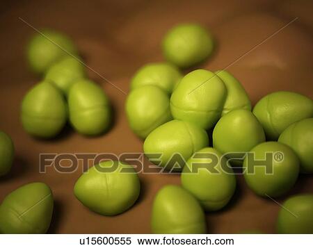 Enterococcus bacteria View Large Photo Image Stock Photography - Enterococcus bacteria. Fotosearch
