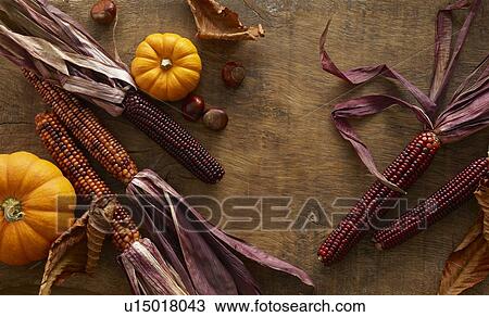 Stock Image - Flint corn and pumpkins. Fotosearch