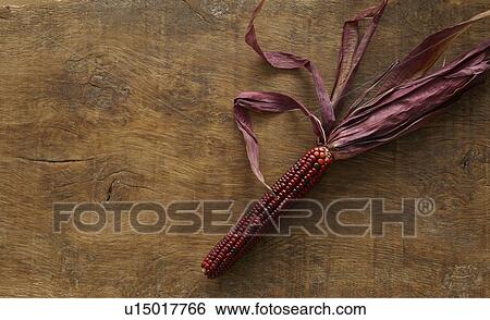 Stock Photograph - Flint corn. Fotosearch