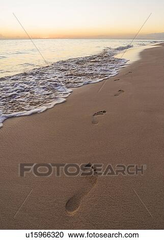 Stock Image - Footprints on sand on tropical beach. Fotosearch