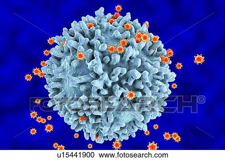 HIV viruses, illustration View Large Photo Image Stock Image - HIV viruses, illustration. Fotosearch