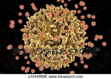 HIV viruses, illustration View Large Photo Image Stock Photo - HIV viruses, illustration. Fotosearch