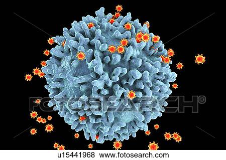 Stock Photo - HIV viruses, illustration. Fotosearch
