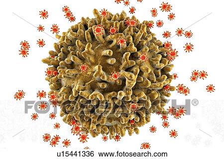 HIV viruses, illustration View Large Photo Image Stock Photograph - HIV viruses, illustration. Fotosearch