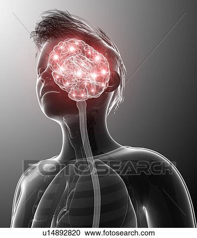 Stock Image - Human brain activity, illustration. Fotosearch