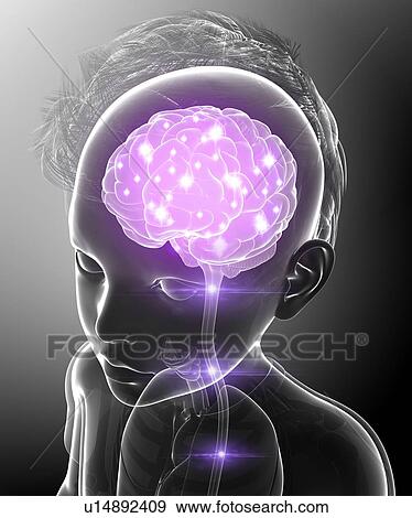 Human brain activity, illustration View Large Photo Image Stock Photo - Human brain activity, illustration. Fotosearch