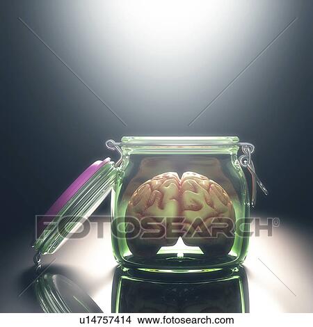 Picture - Human brain in glass jar with lid open. Fotosearch