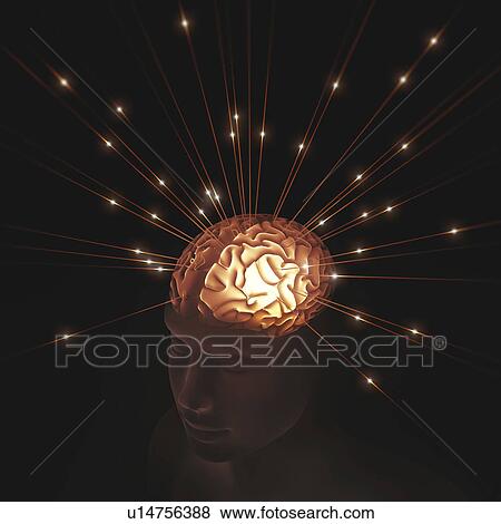 Human brain with lights View Large Photo Image Stock Photo - Human brain with lights. Fotosearch