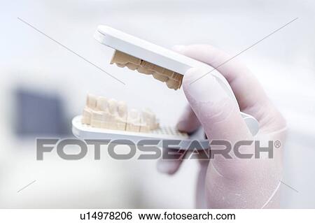 Stock Photograph - Human hand holding dental mould. Fotosearch