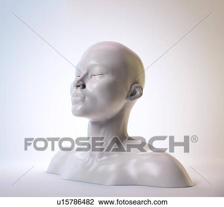 Stock Image - Human head, sculpture, illustration. Fotosearch