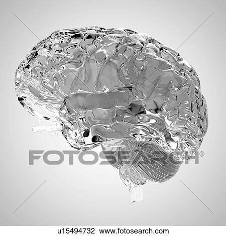 Human heart rendered in glass View Large Photo Image Stock Image - Human heart rendered in glass. Fotosearch