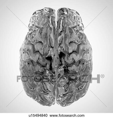 Human heart rendered in glass View Large Photo Image Stock Image - Human heart rendered in glass. Fotosearch