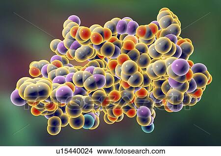 Picture - Insulin molecule, illustration. Fotosearch