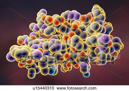 Insulin molecule, illustration View Large Photo Image Stock Image - Insulin molecule, illustration. Fotosearch