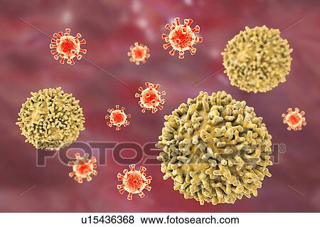 Stock Photo - Lymphocytes, illustration. Fotosearch