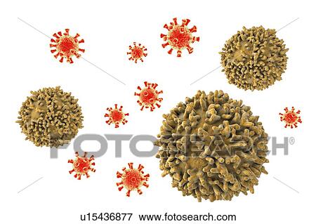Stock Photo - Lymphocytes, illustration. Fotosearch