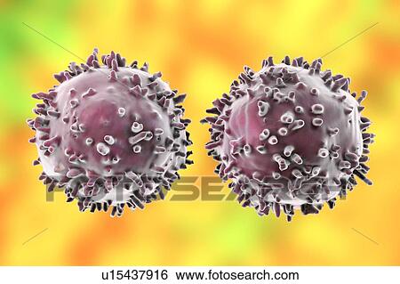Stock Photograph - Lymphocytes, illustration. Fotosearch