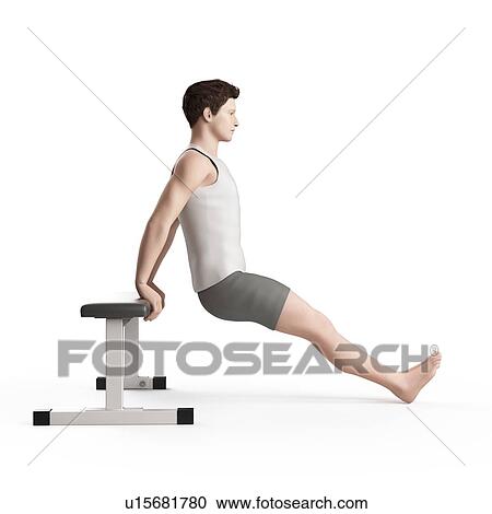 Stock Image - Man doing bench dip exercise. Fotosearch