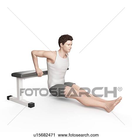 Stock Image - Man doing bench dip exercise. Fotosearch