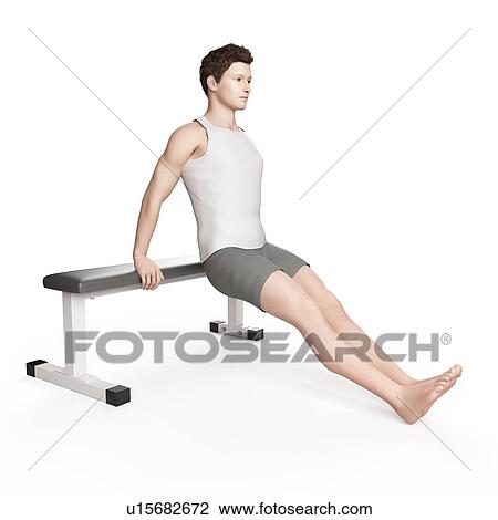 Stock Image - Man doing bench dip exercise. Fotosearch