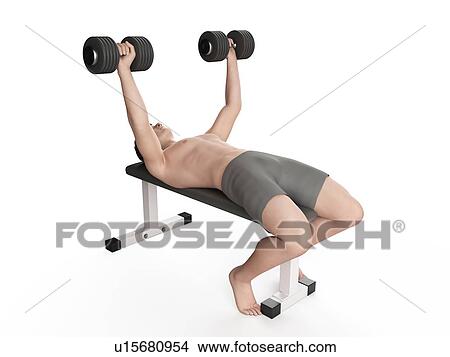 Picture - Man doing bench press exercise. Fotosearch