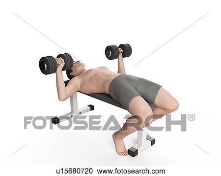 Stock Image - Man doing bench press exercise. Fotosearch