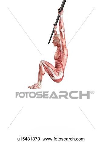 Man doing leg raises View Large Photo Image Stock Image - Man doing leg raises. Fotosearch
