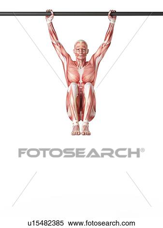 Stock Photography - Man doing leg raises. Fotosearch