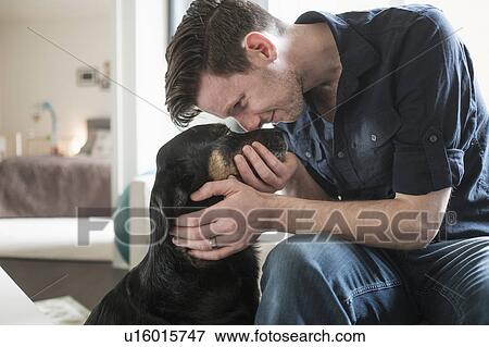 Man playing with dog in living room View Large Photo Image Stock Photo - Man playing with dog in living room. Fotosearch