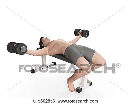 Stock Photograph - Man using hand weights. Fotosearch