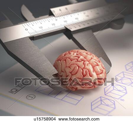 Picture - Measuring human brain, illustration. Fotosearch