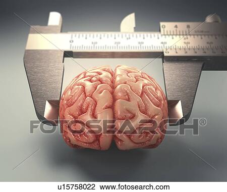 Stock Image - Measuring human brain, illustration. Fotosearch