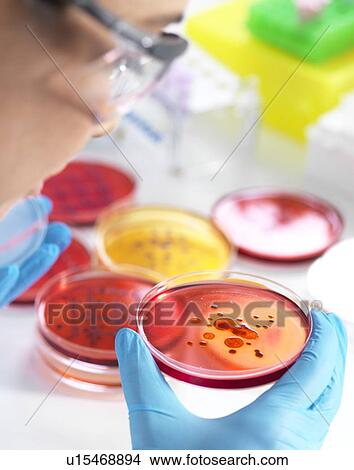 Picture - Microbiological research. Fotosearch