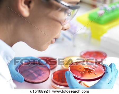 Microbiological research View Large Photo Image Picture - Microbiological research. Fotosearch